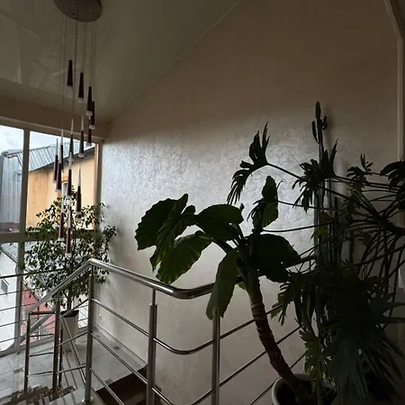 Hotel Dalim